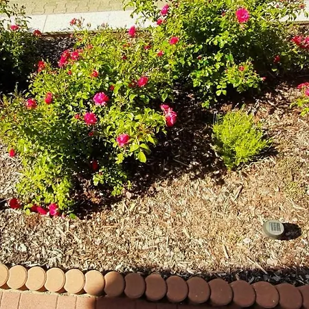 Unterm Schloss Bei Inge Διαμέρισμα Reichelsheim